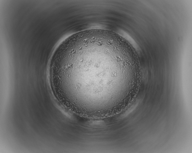 X0000110911043200906251353