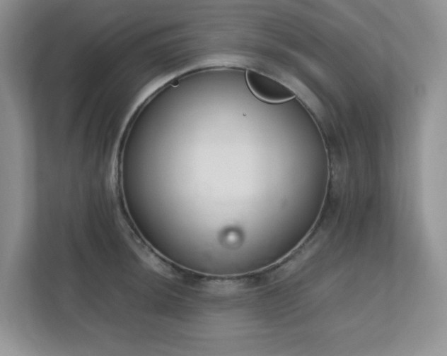 X0000110911044200906251353