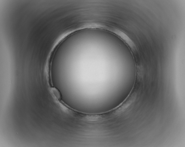 X0000110911046200906251353