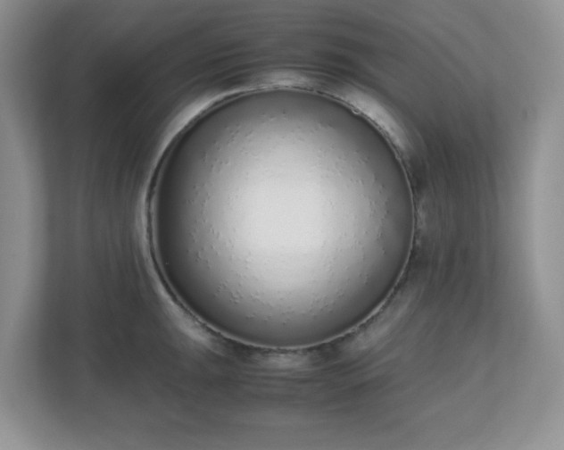 X0000110911047200906251353