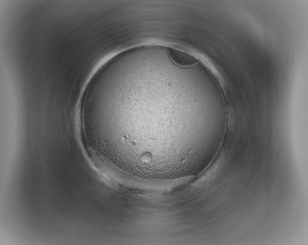 X0000110911048200906251353