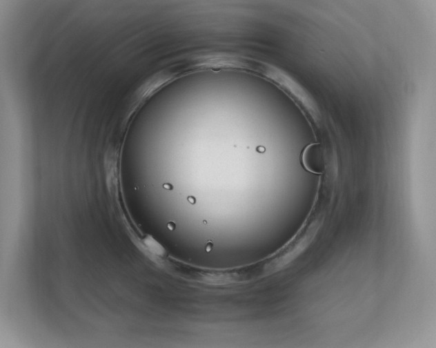 X0000110911049200906251353