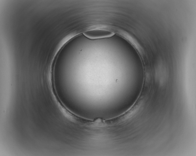 X0000110911050200906251354