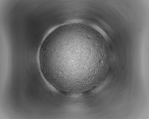 X0000110911055200906251354