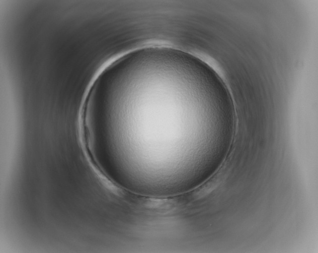 X0000110911056200906251354