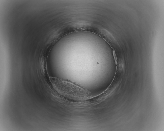 X0000110911060200906251353