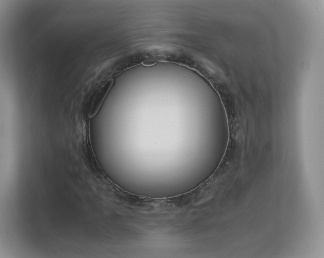 X0000110911061200906251353