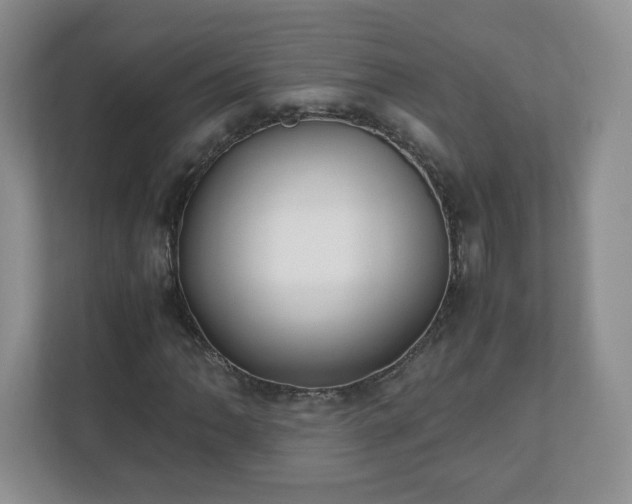 X0000110911062200906251353