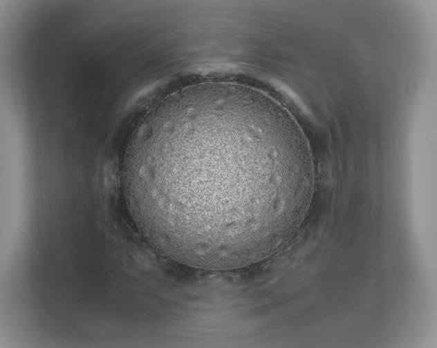 X0000110911063200906251353