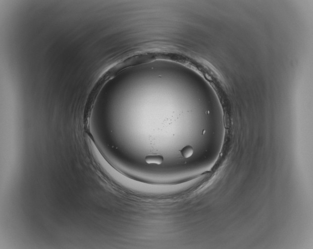 X0000110911065200906251353