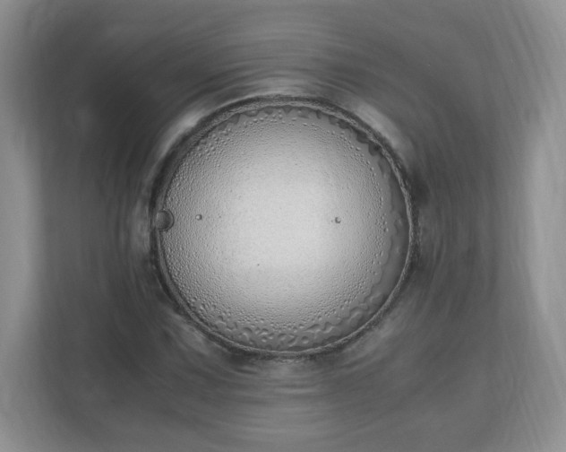 X0000110911067200906251353