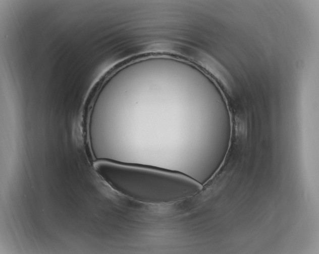 X0000110911068200906251353