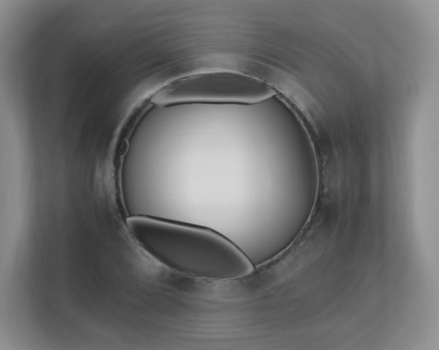 X0000110911072200906251353