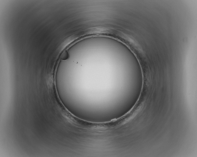 X0000110911073200906251353