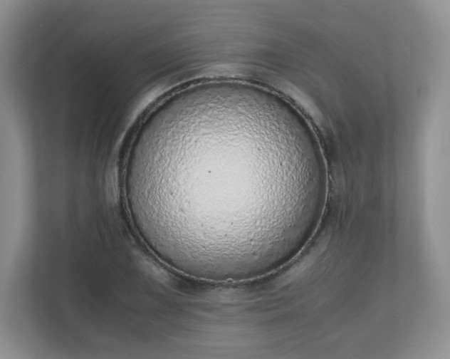 X0000110911075200906251353