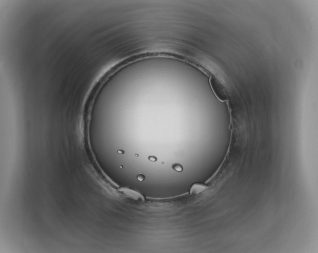 X0000110911076200906251353