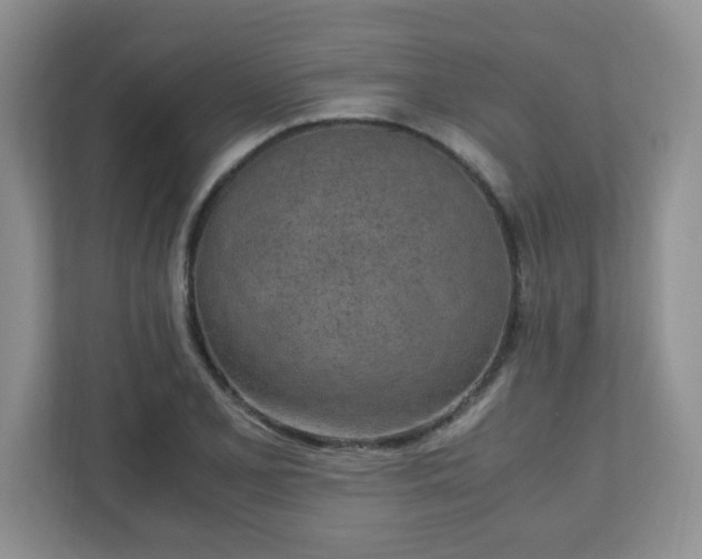 X0000110911077200906251353