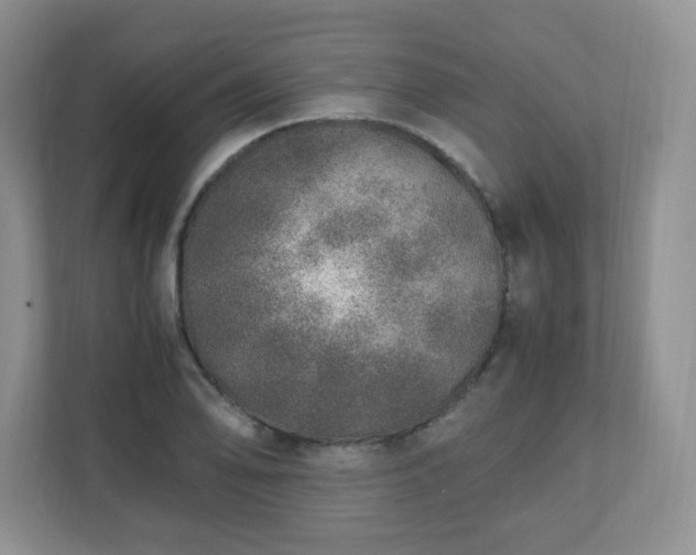 X0000110911078200906251353