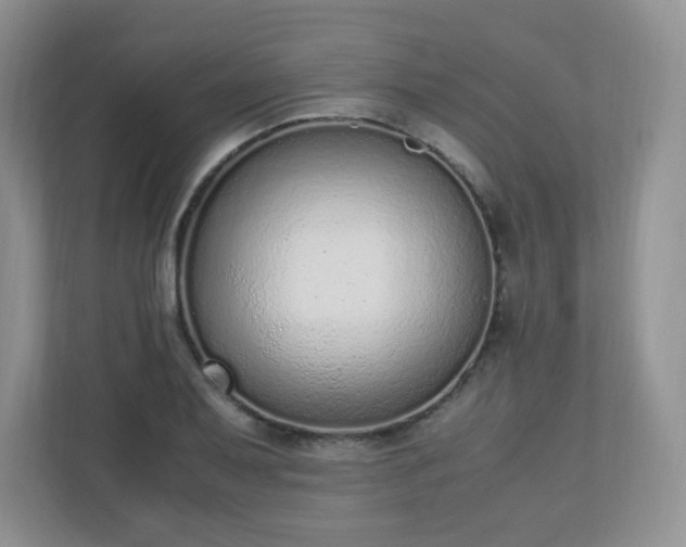 X0000110911079200906251353