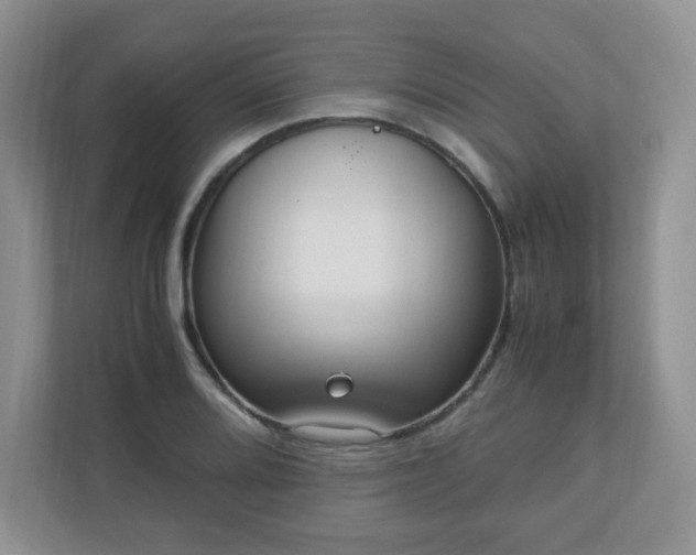 X0000110911080200906251353