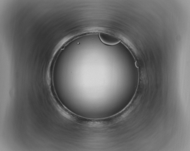 X0000110911082200906251353