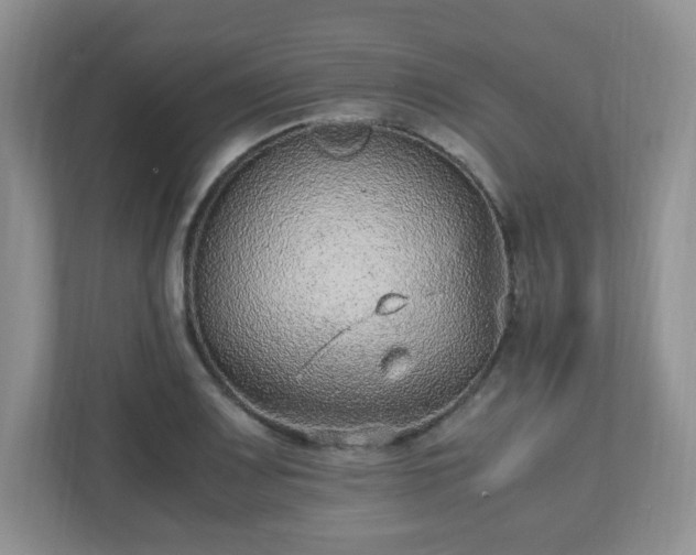 X0000110911083200906251353