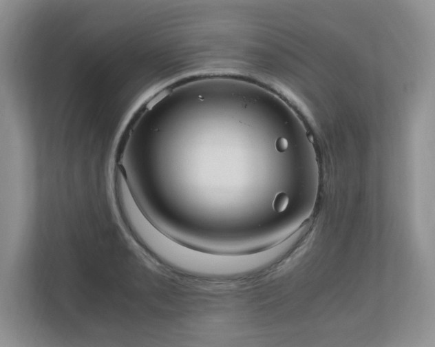 X0000110911085200906251353