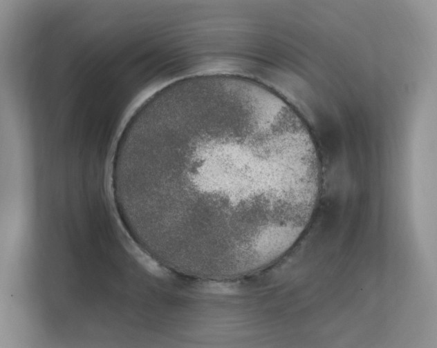 X0000110911086200906251353