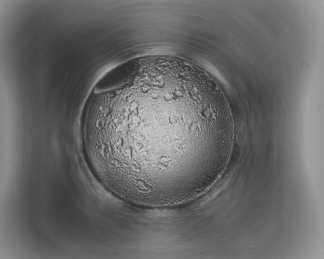 X0000110911087200906251353