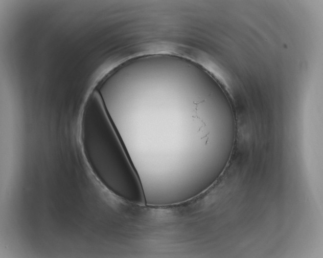 X0000110911088200906251353