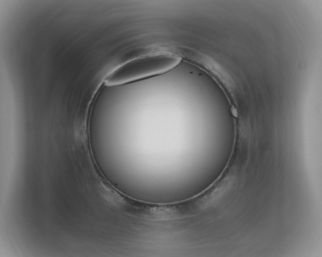 X0000110911089200906251353