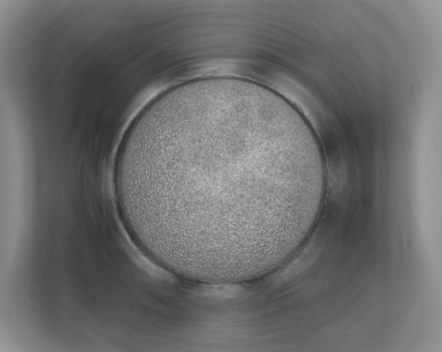 X0000110911090200906251353