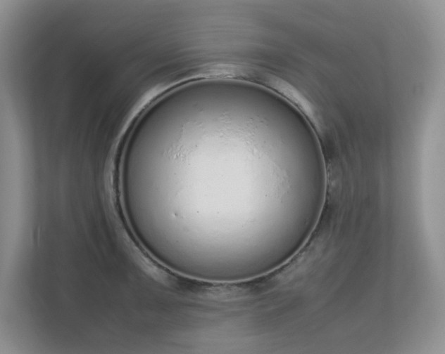 X0000110911091200906251353