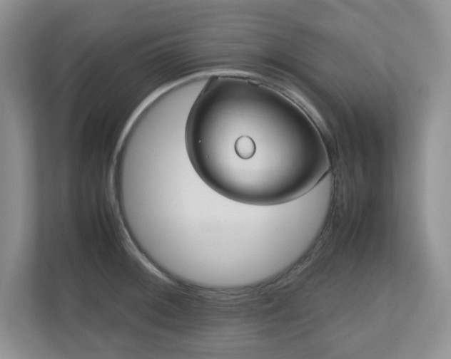 X0000110911092200906251353