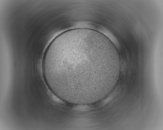 X0000110911094200906251352