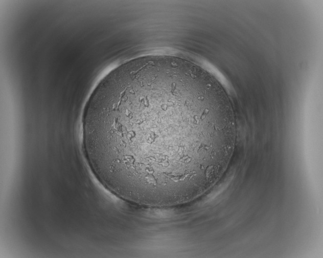 X0000110911095200906251352