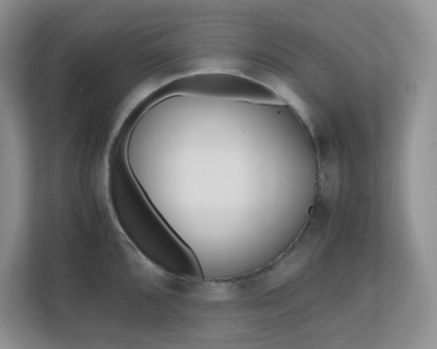 X0000110911096200906251352