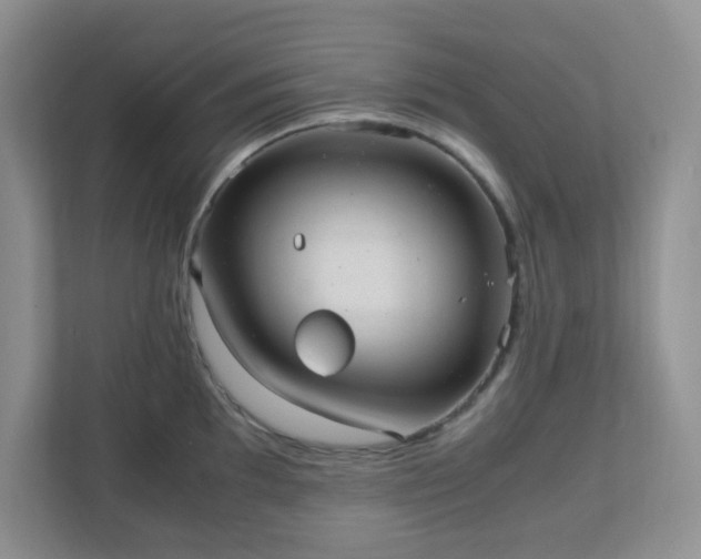 X0000110911097200906251352