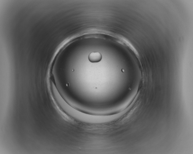 X0000110911098200906251352