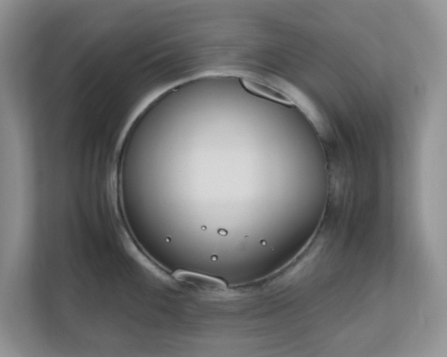 X0000110911100200906251352