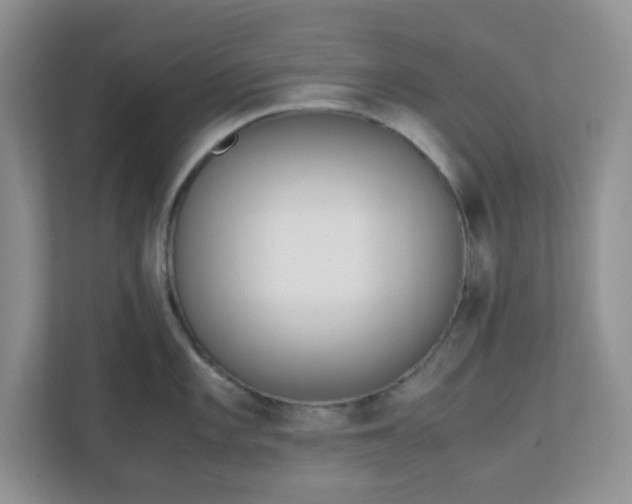 X0000110911101200906251352