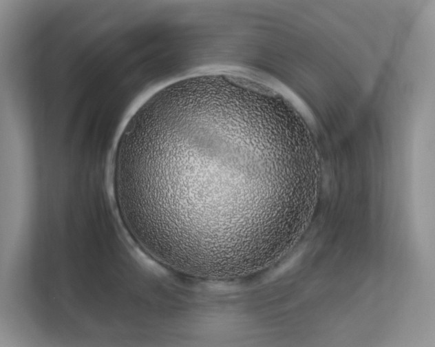 X0000110911102200906251352