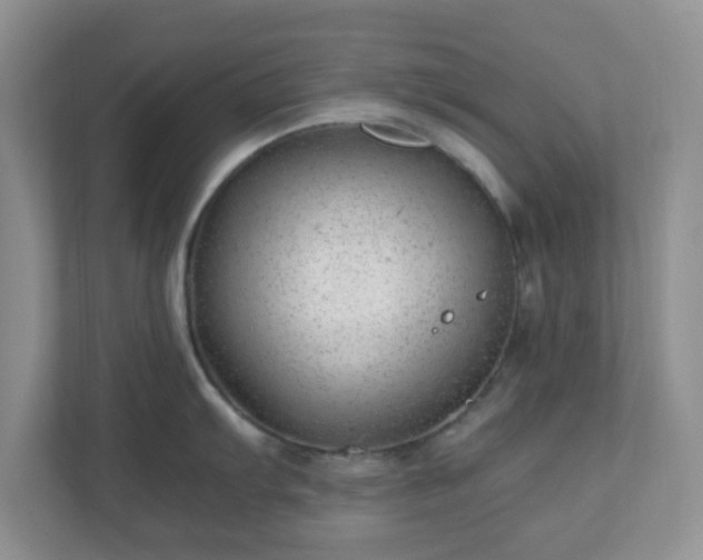 X0000110911103200906251352