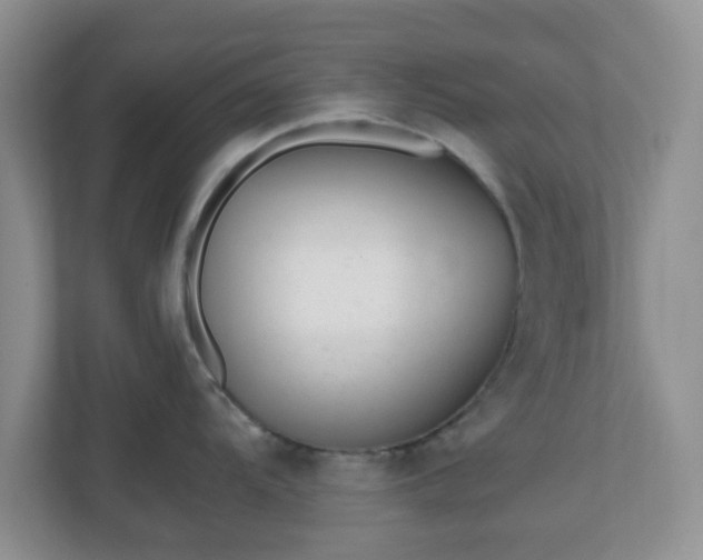 X0000110911104200906251352