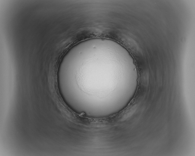 X0000110911105200906251352