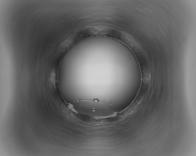 X0000110911108200906251352