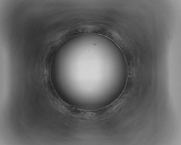 X0000110911109200906251352