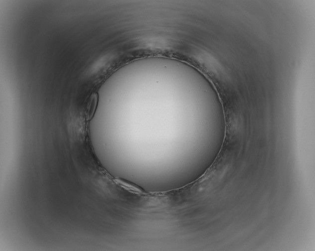 X0000110911110200906251352