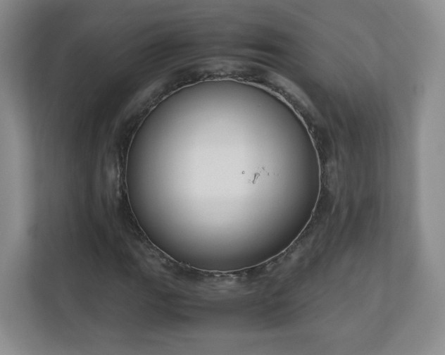 X0000110911111200906251352