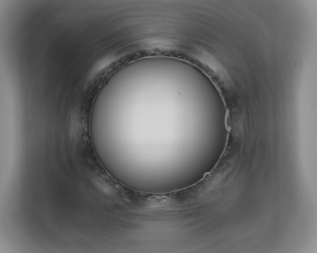 X0000110911112200906251352